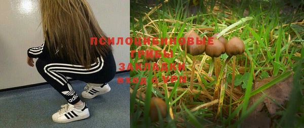 спиды Бронницы