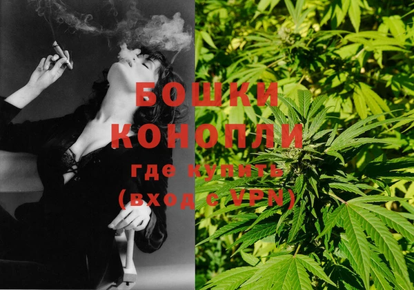 спиды Бронницы