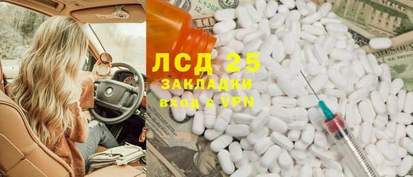 прущие грибы Бугульма