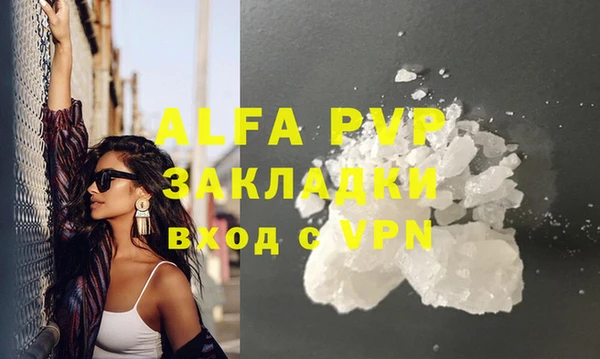 прущие грибы Бугульма