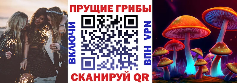 купить наркотик  Новохопёрск  это формула  Галлюциногенные грибы Psilocybe  гидра tor 